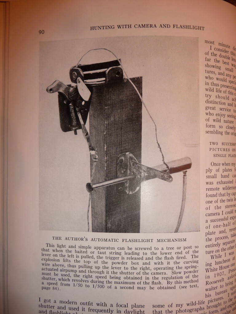 trail camera 100 year
