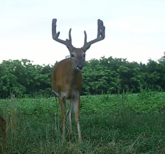 20130708-175744.jpg