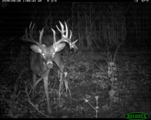 tom taylor wisconsin cam pic 2009