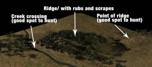 terrain not sign