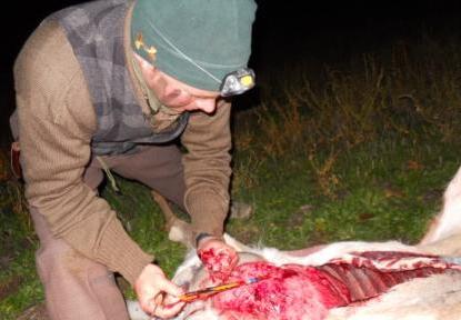Milk River filming arrow in lungs