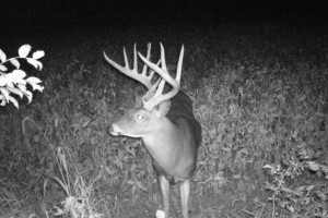 dean cam 1