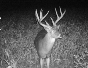 dean cam 2