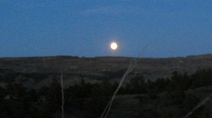 full moon