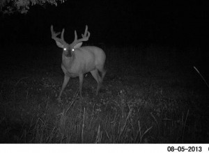 ohio edwards cam