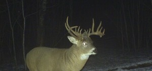 grant son buck cam sask