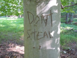 thief