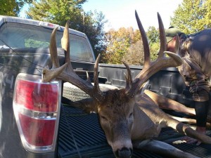 nathan s buck 2