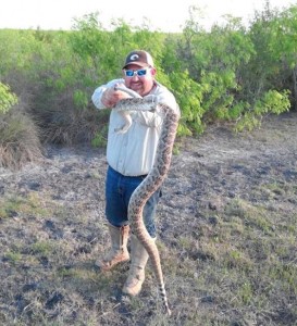 tx sarge snake