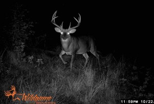 va buck 2