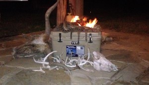 yeti w snakes