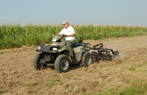 food plots for deer 012