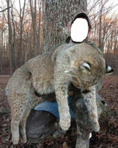 va bobcat