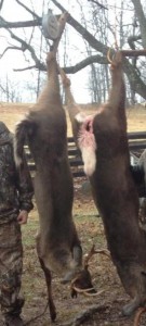buck weigh