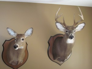 eric mount 2