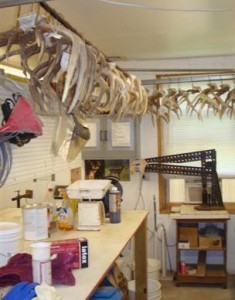 taxidermist 2