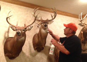 taxidermy preserve