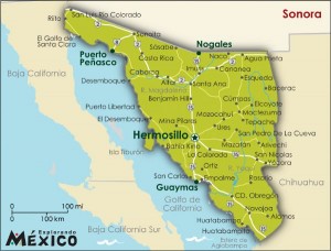 sonora