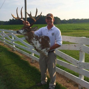 va piebald 3