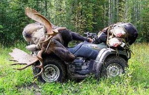Moose_wheeler