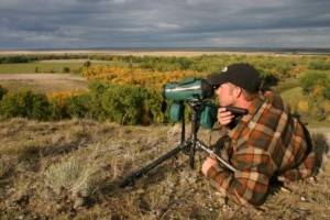 glassing for buck spot scope