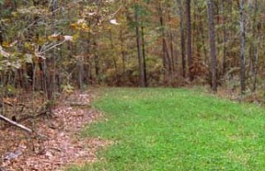 micro plot