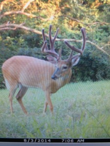trail cam 2014 conn 1