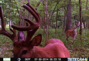 trail cam 2014 zac elli