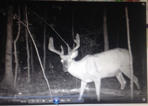trail cam dean 2