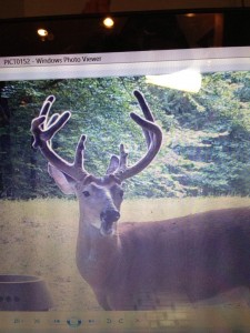 trail cam ky 2