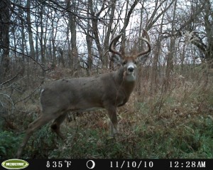 IL steve monster cam 2010