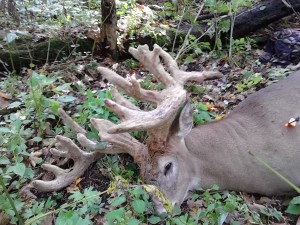 MN monster 2014