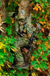 early season bowhunting
