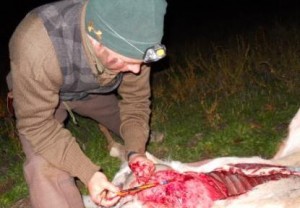 Milk River filming arrow in lungs