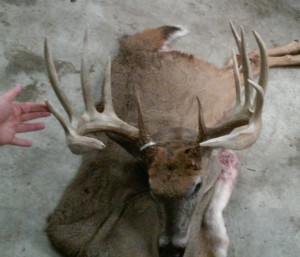 WI state record 2014