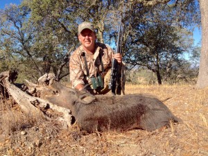 cali pig