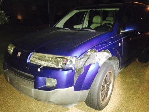 car deer smash