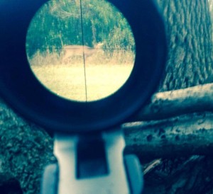 iphone scope buck photo