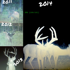 nc duke buck 2014 3