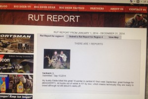 rut report