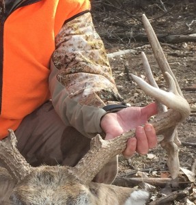 drop tine 2014 close up