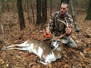 VA piebald