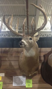 ohio danflous award buck