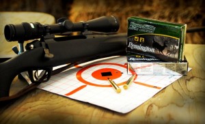 rem 783 target.jpg web