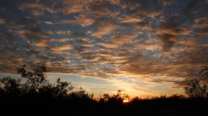 tx sunset