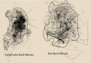 OK rut moves