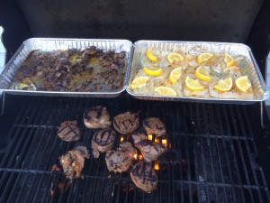 grill deer 1