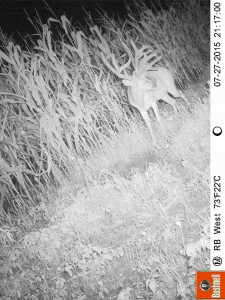 big freak update