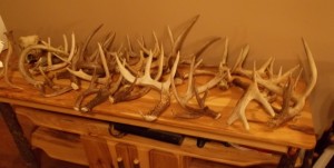 pa john sheds