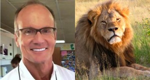 cecil lion jpg